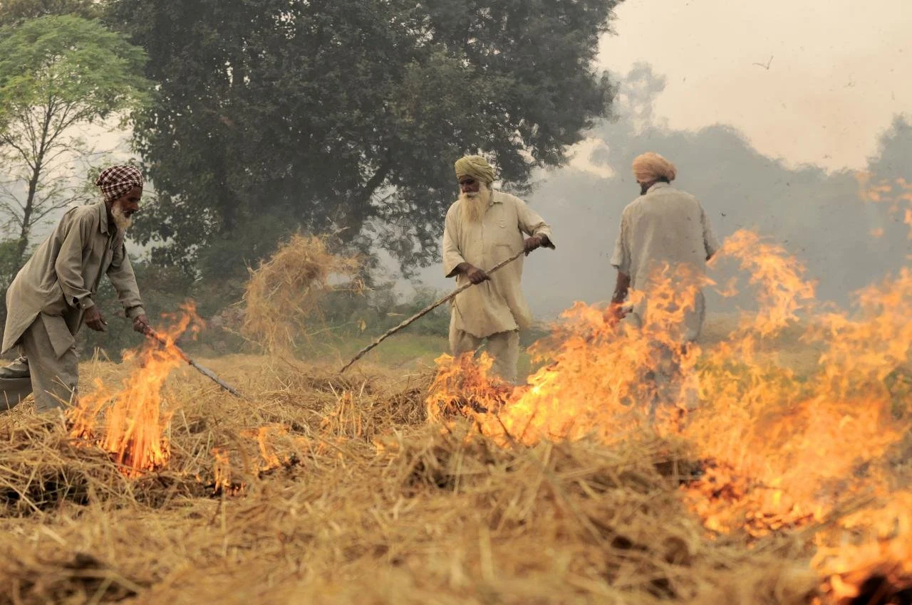 Rice stubble burning in Punjab field