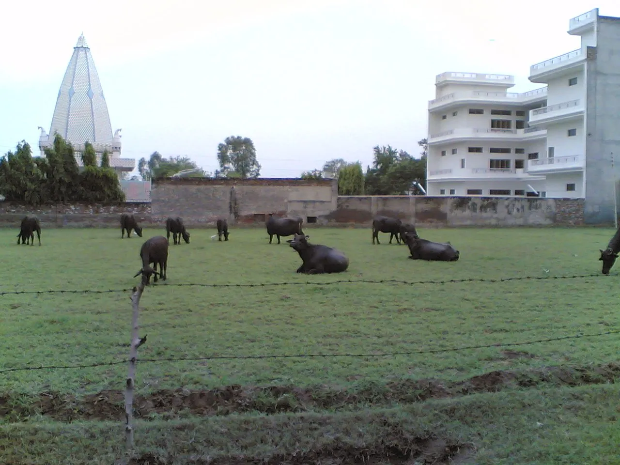 Jain Temple on Tehsil Road, Jagraon
