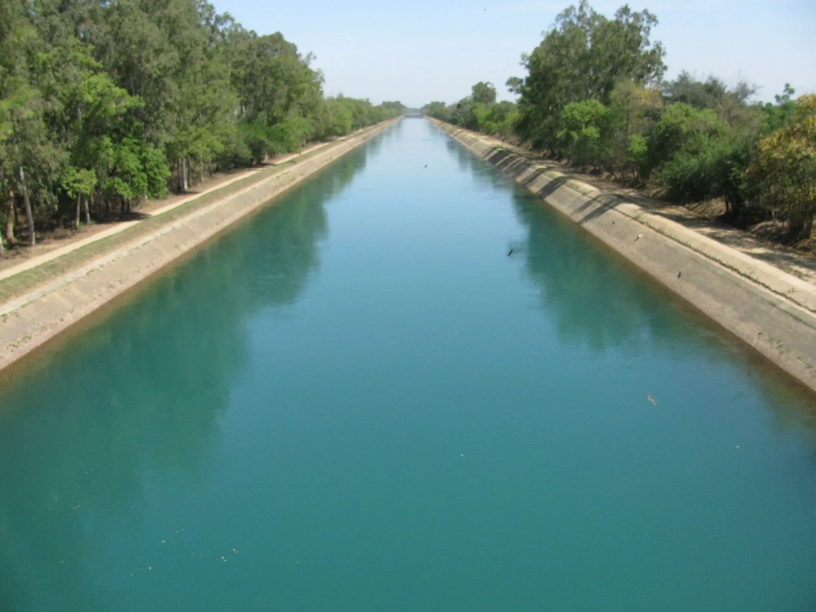 Bhakra Main Canal