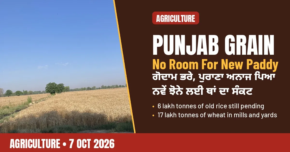 Breaking-news poster: Punjab runs short of space for new paddy as old rice and wheat fill godowns