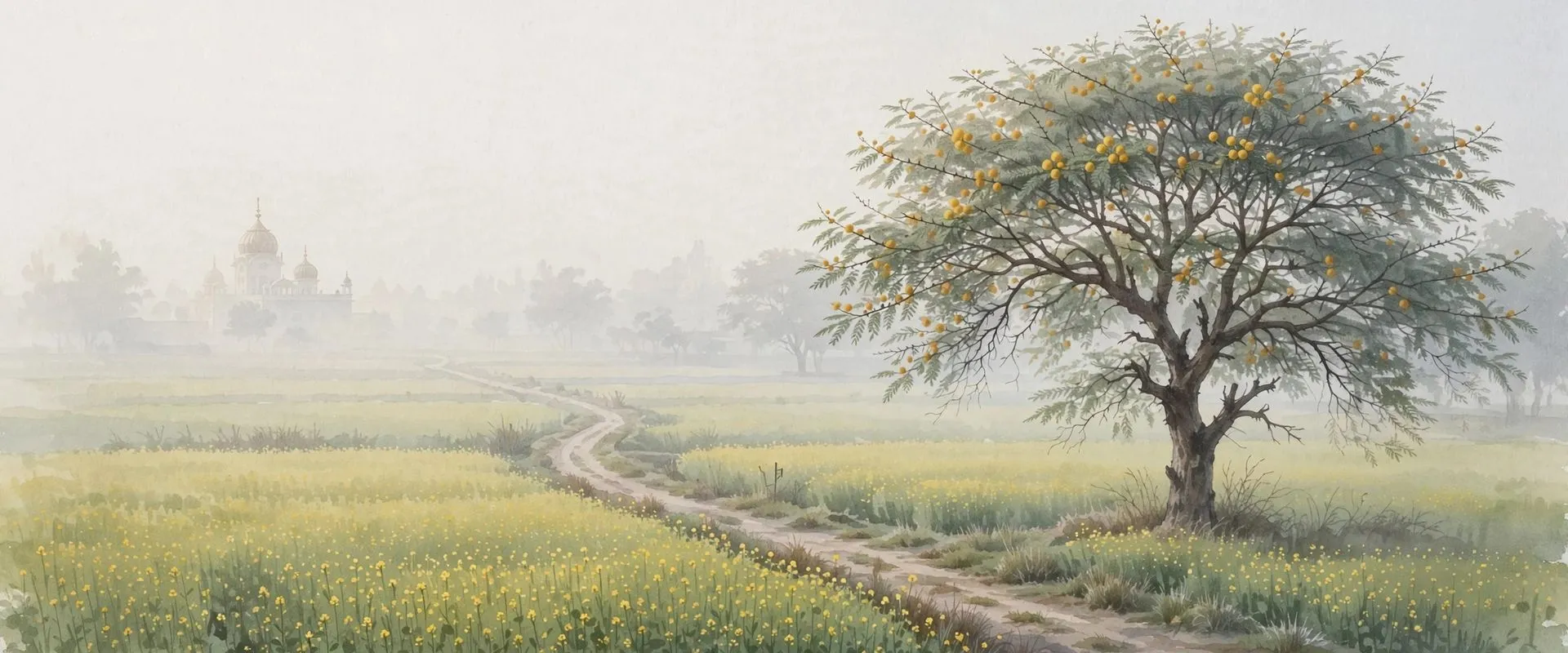 Painterly illustration of thick winter fog over Punjab mustard fields and a village path