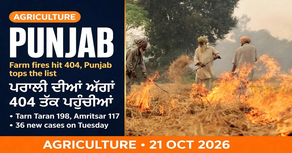 AI-generated editorial design for Jugti, incorporating original photograph of stubble burning in Punjab by CIAT (CC BY-SA 2.0)