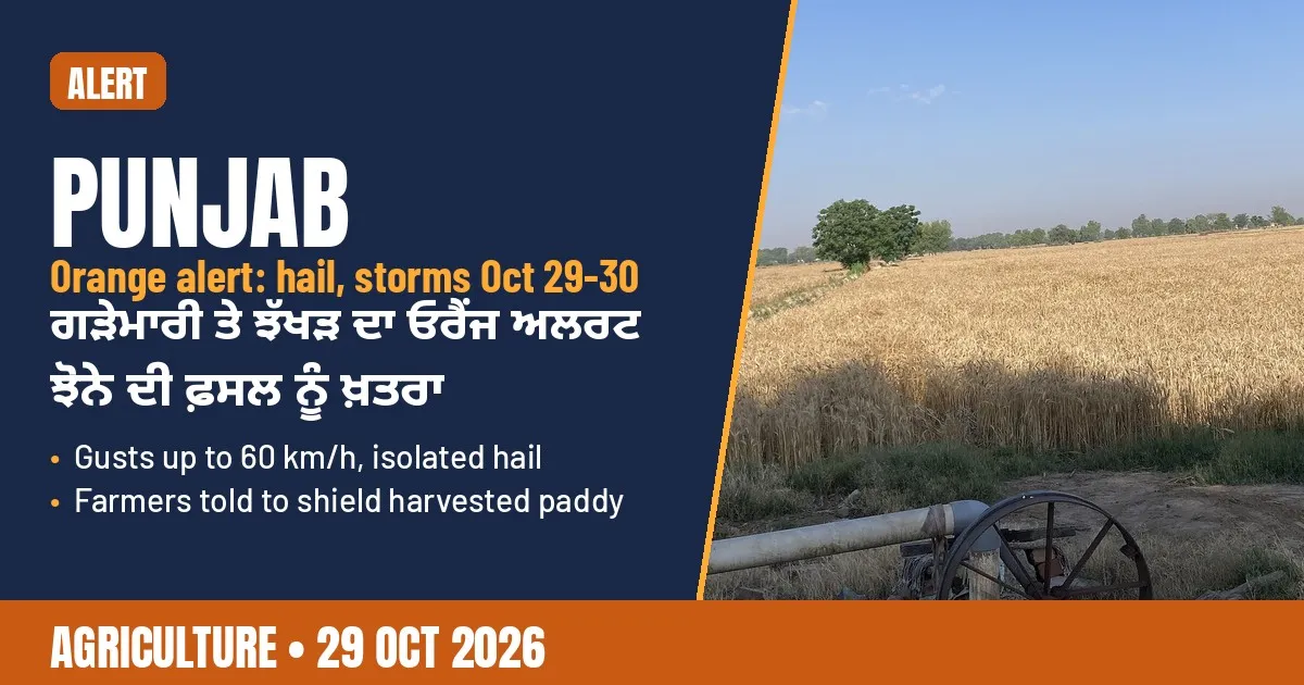 AI-generated editorial design for Jugti showing a Punjab farm field