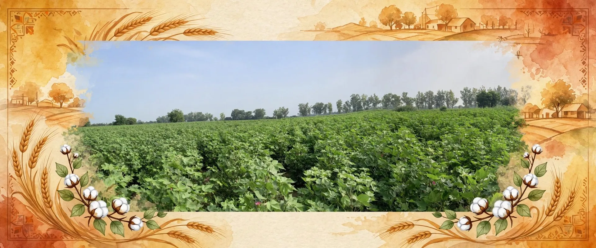 AI-generated editorial design for Jugti, incorporating original photograph of a cotton farm in south-west Punjab by Tizzythewhale (CC BY-SA 4.0)